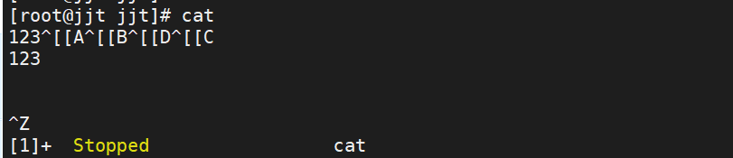 image-20251217161338865